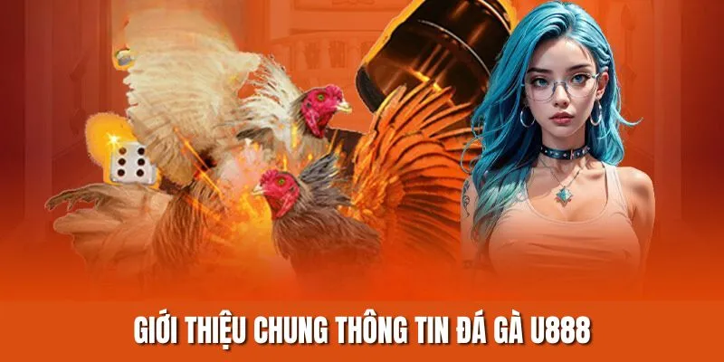 Giới thiệu chung thông tin đá gà U888